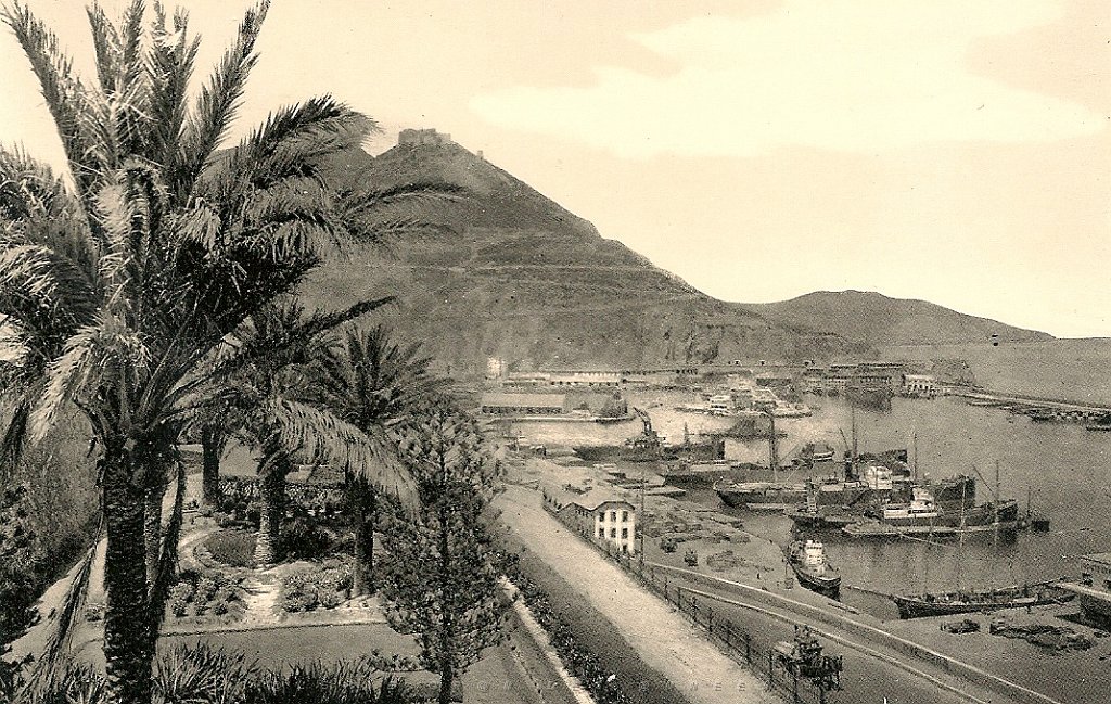 457-Santa Cruz et le port depuis la promenade.jpg